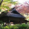 Tokyo_Rikugien_Park_12
